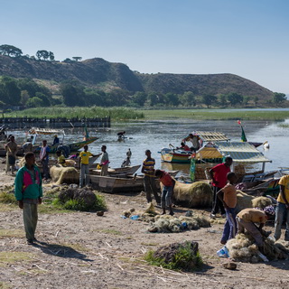 Lake Awassa